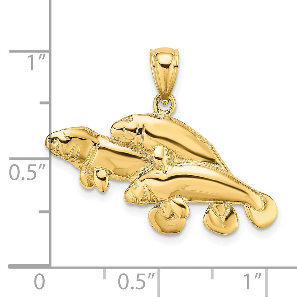 14K Gelbgold 2-D / Poliert Drei Manatis Charm
