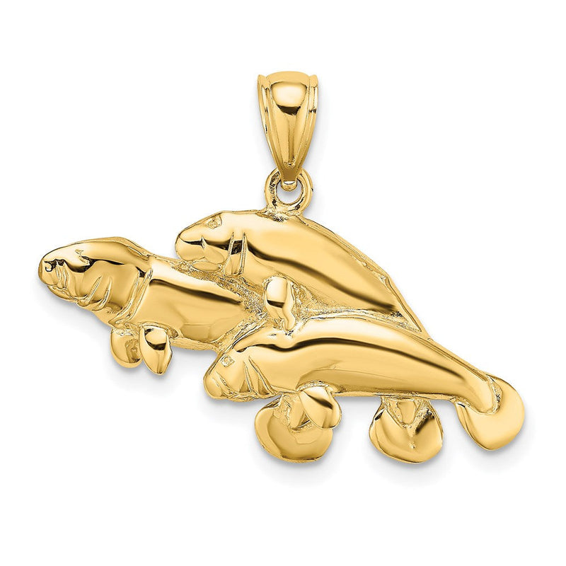 14K Gelbgold 2-D / Poliert Drei Manatis Charm