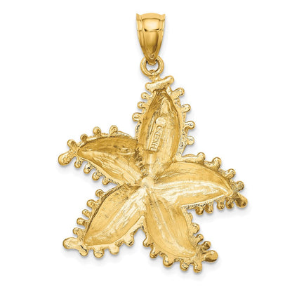14K Gelbgold Seestern-Charm