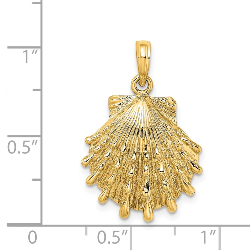 14K Gelbgold Löwenpfoten-Muschel-Charm