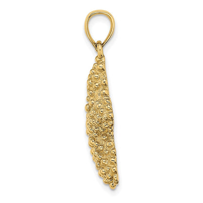 14K Gelbgold Seestern-Charm mit Struktur