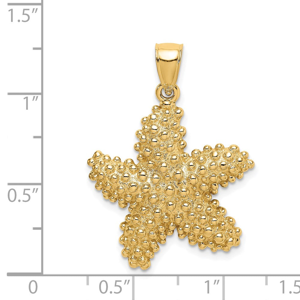 14K Gelbgold Seestern-Charm mit Struktur