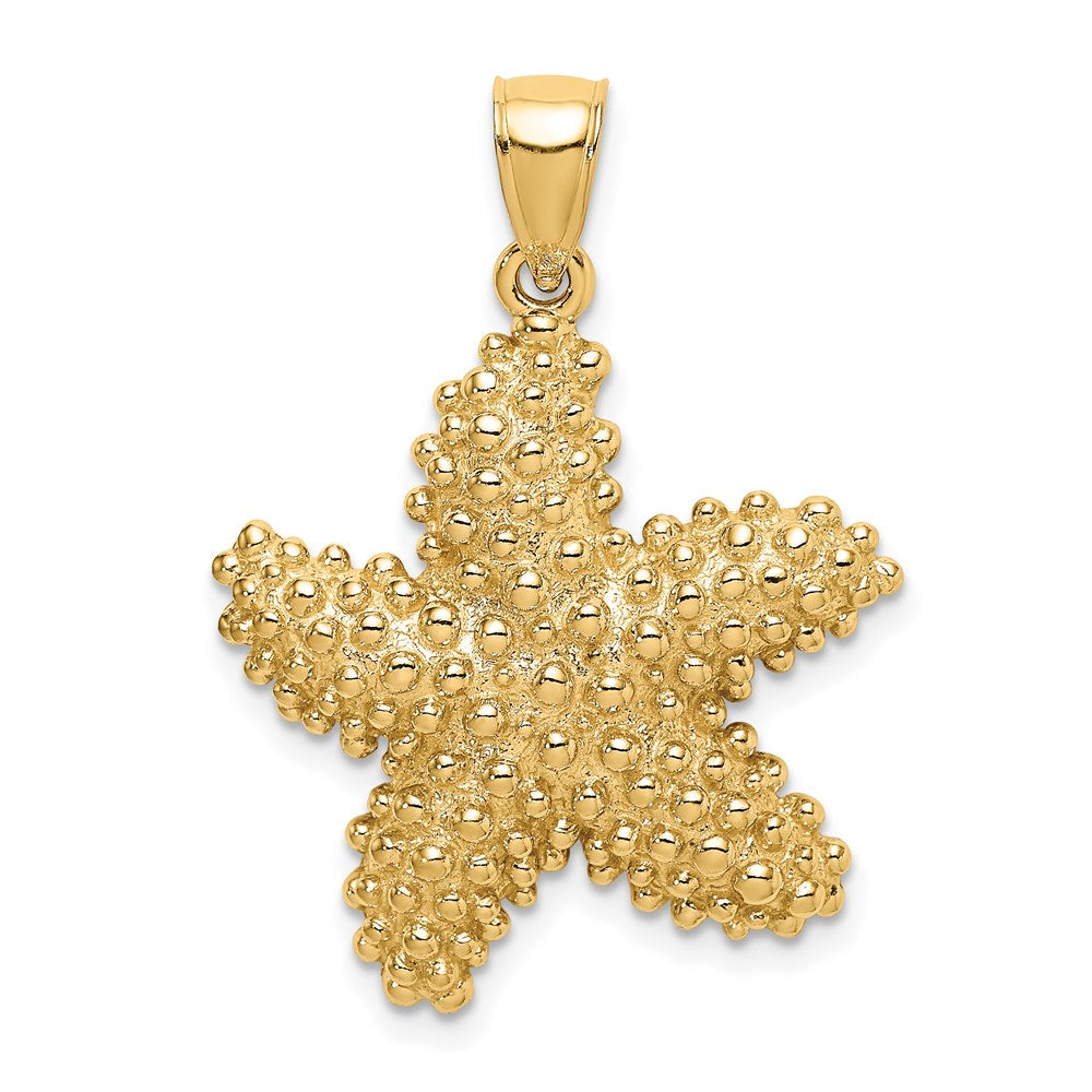 14K Gelbgold Seestern-Charm mit Struktur