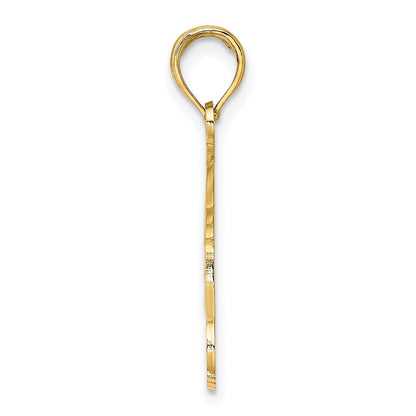 14K Gelbgold NAPLES FLORIDA Charm mit springenden Delfinen