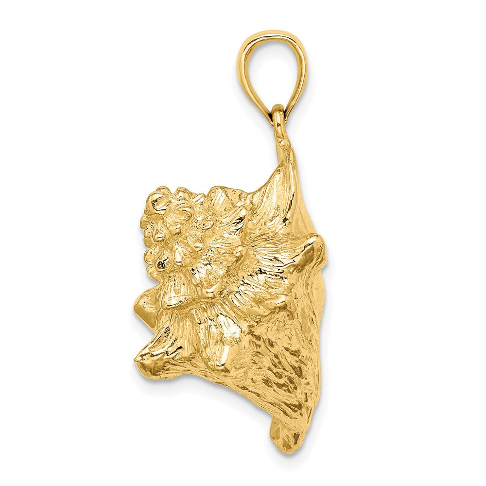 14K Gelbgold 3-D Conch-Muschel-Charm