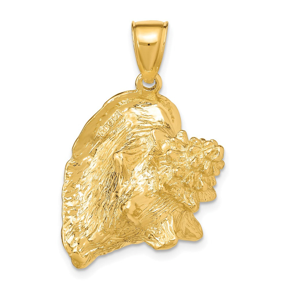 14K Gelbgold 3-D Conch-Muschel-Charm