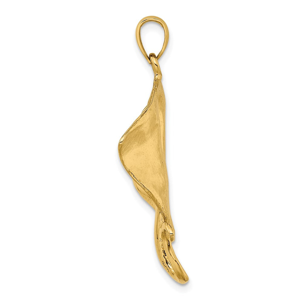 14K Gelbgold polierter Stachelrochen-Charm