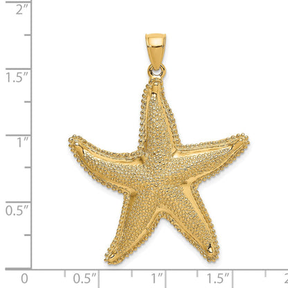 14K Gelbgold Seestern-Charm mit strukturierter Oberfläche