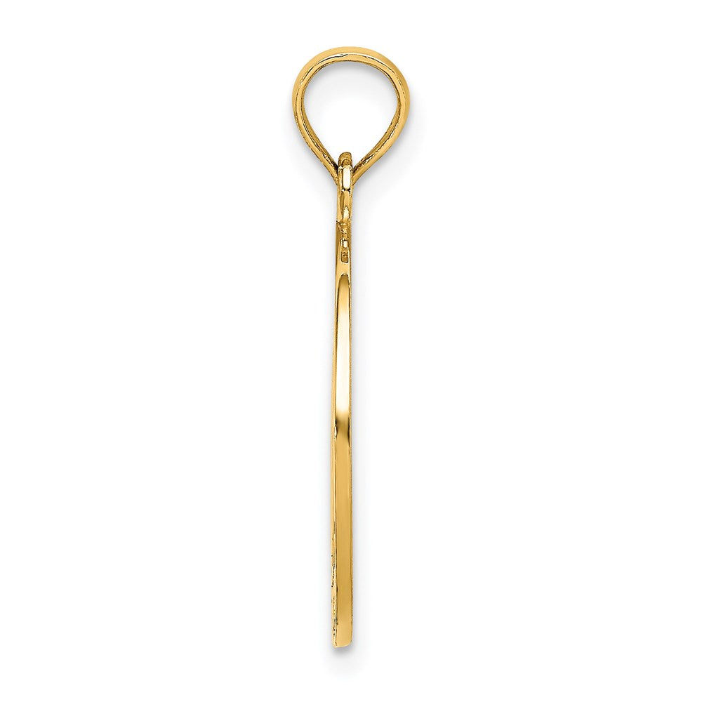 14K Gelbgold Charm „VIRGINIA BEACH mit Delfinen