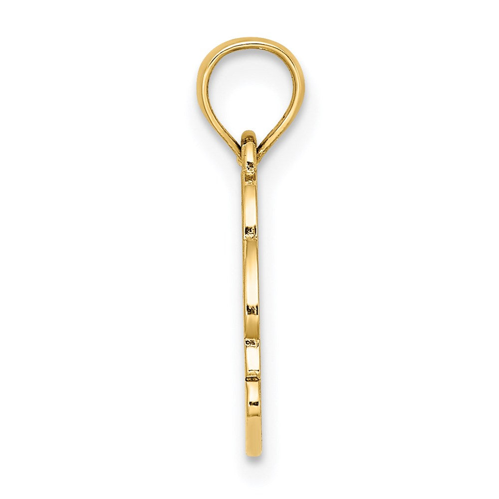 14K Gelbgold Strukturiert Nags Kopf mit Delfin Charm