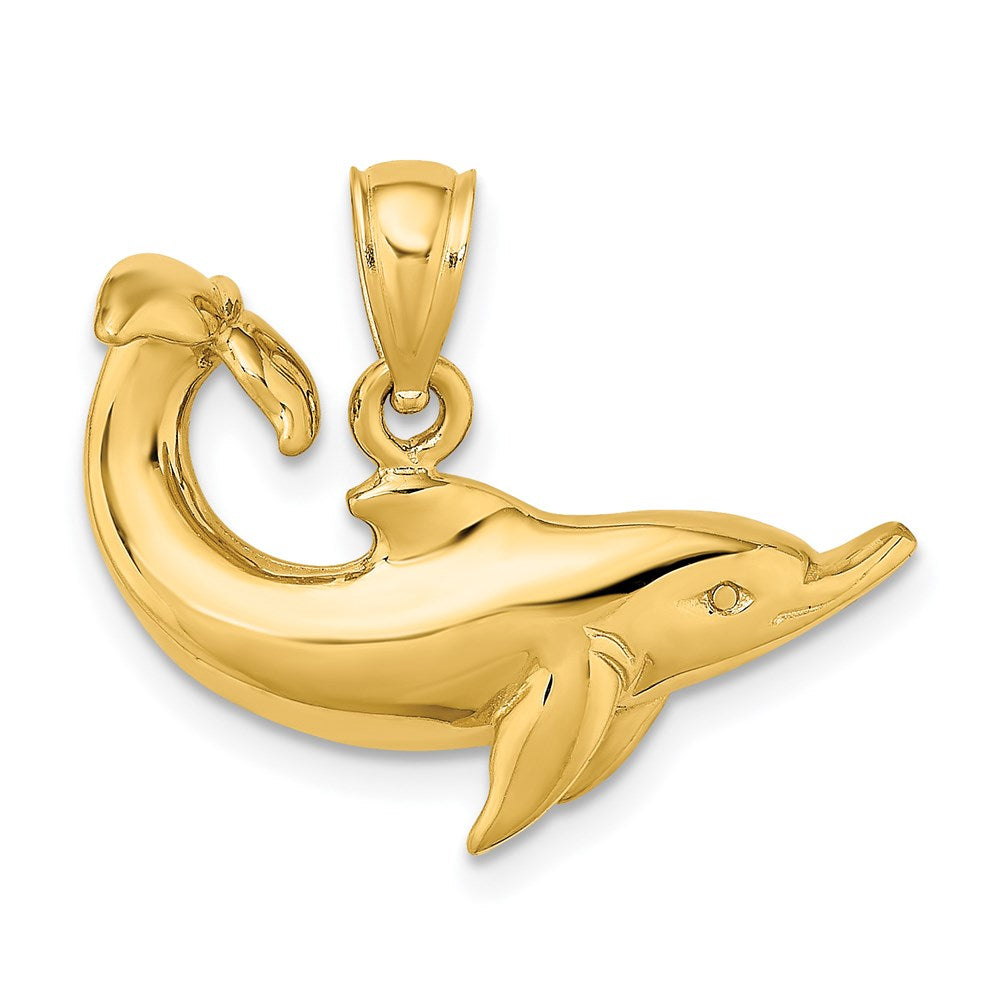 14K Gelbgold Poliert Delfin-Charm