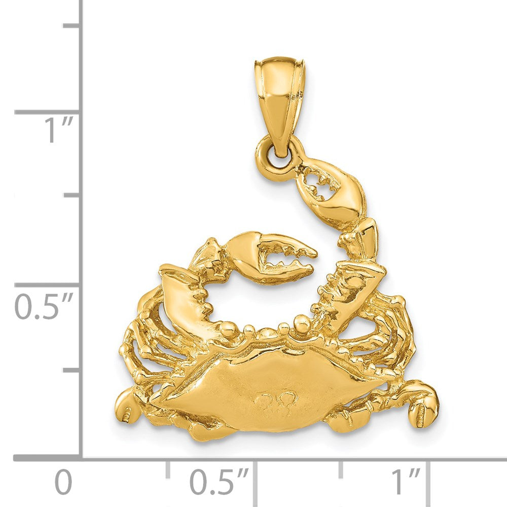 14K Gelbgold Polierter Blauer Krebs-Charm