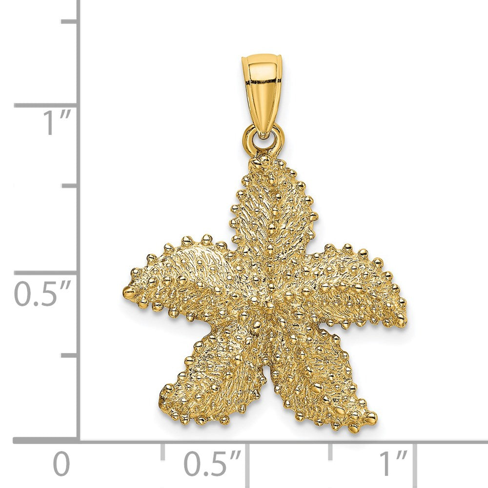 14K Gelbgold Seestern-Charm mit strukturierter Oberfläche
