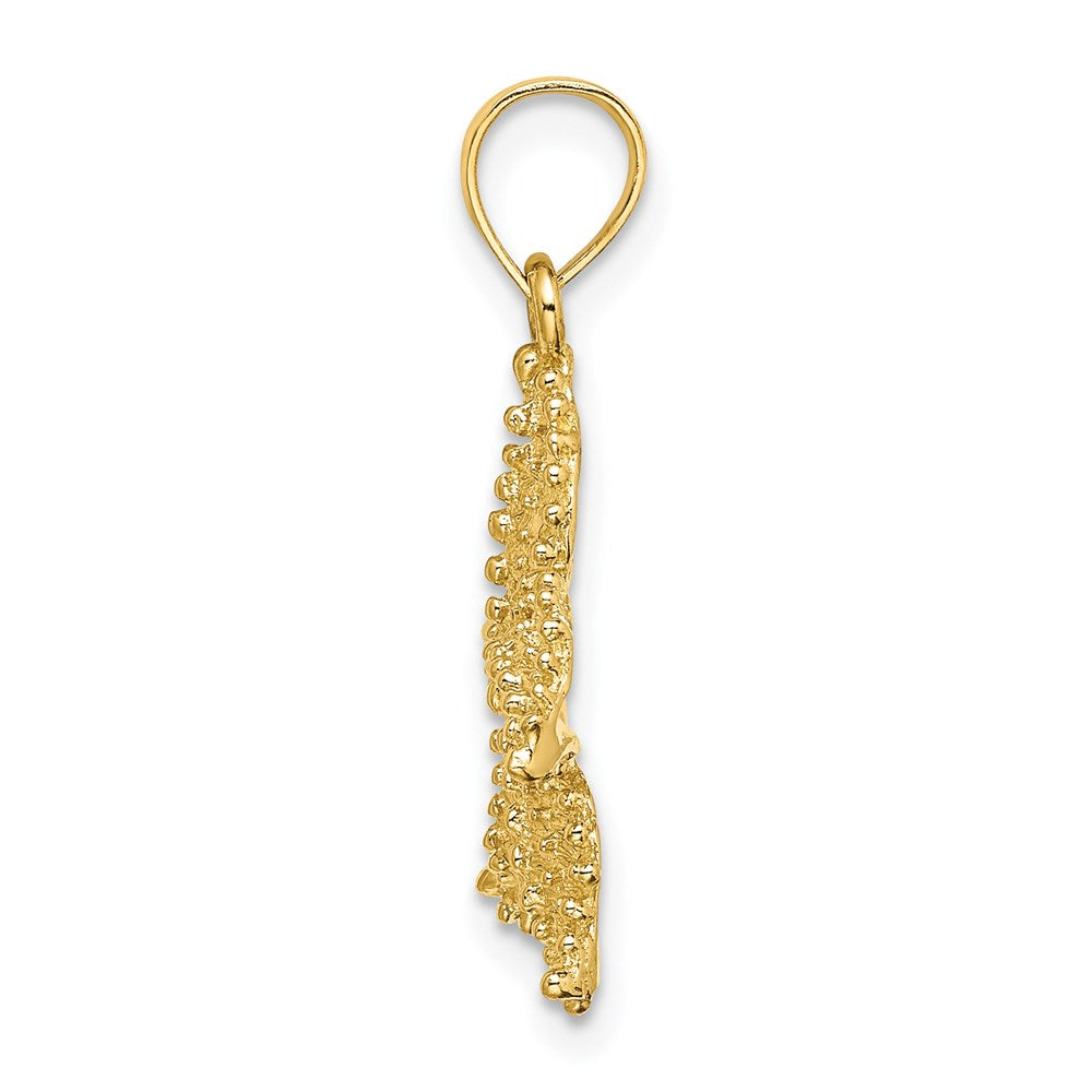 14K Gelbgold Seestern-Charm mit strukturierter Oberfläche