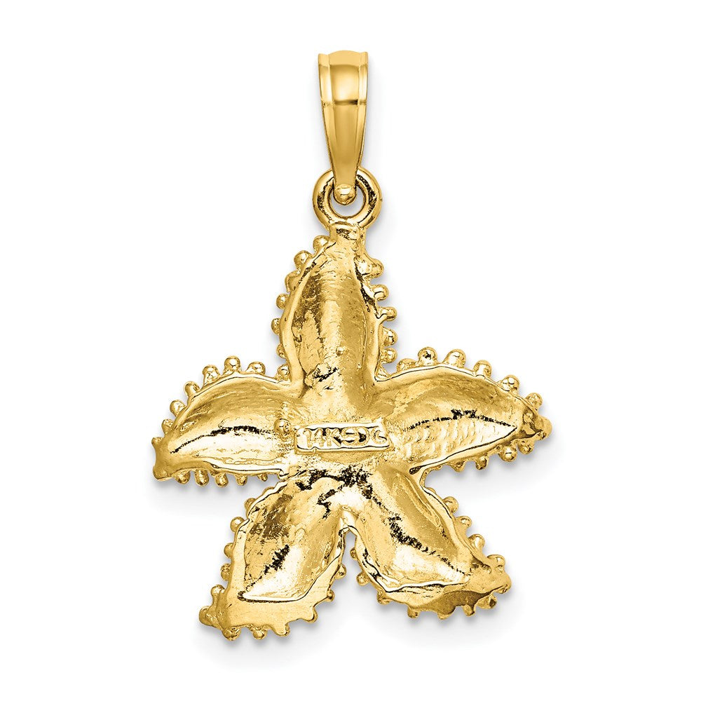 14K Gelbgold Seestern-Charm mit strukturierter Oberfläche