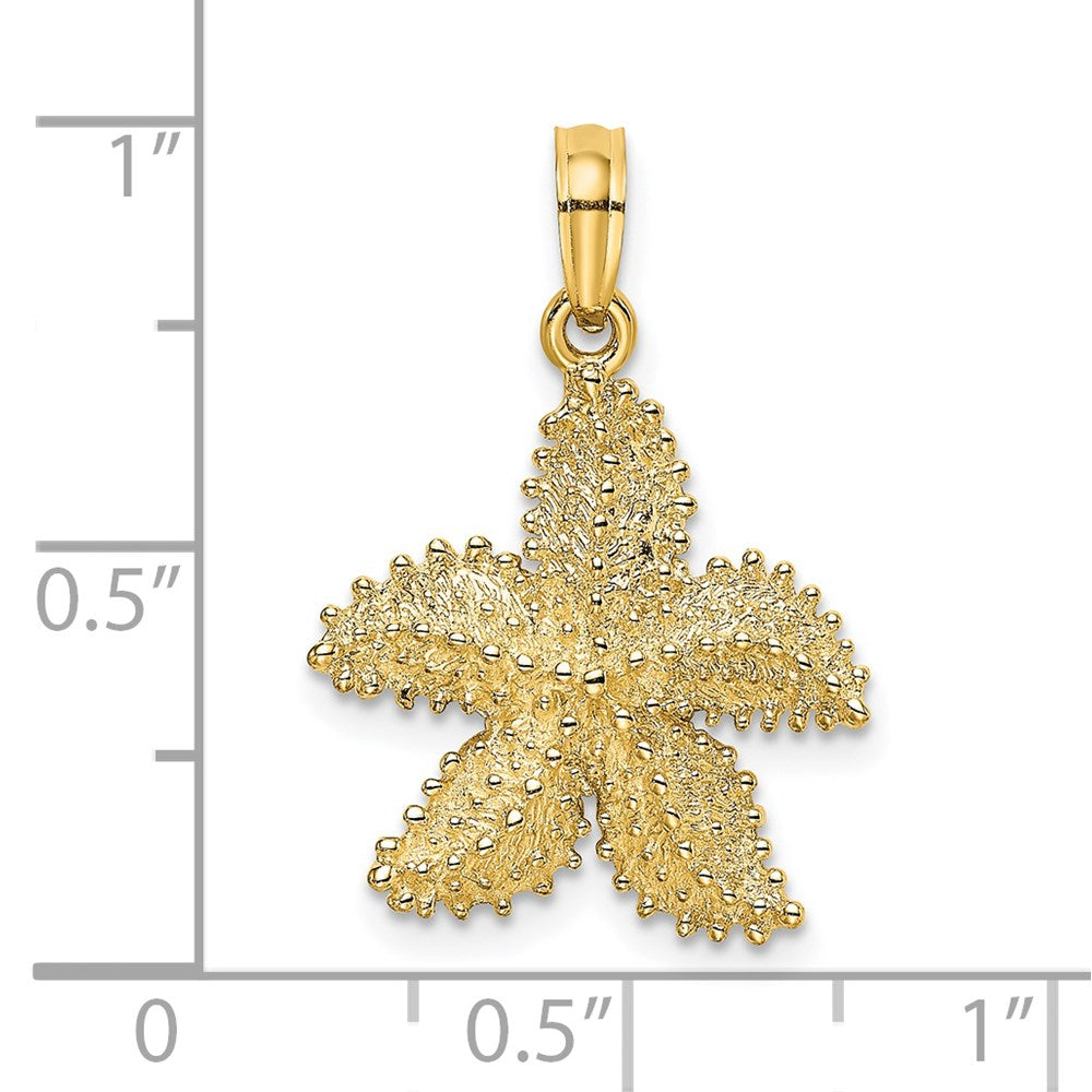 14K Gelbgold Seestern-Charm mit strukturierter Oberfläche