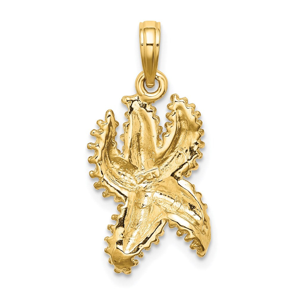 14K Gelbgold Seestern-Charm mit strukturierter Oberfläche
