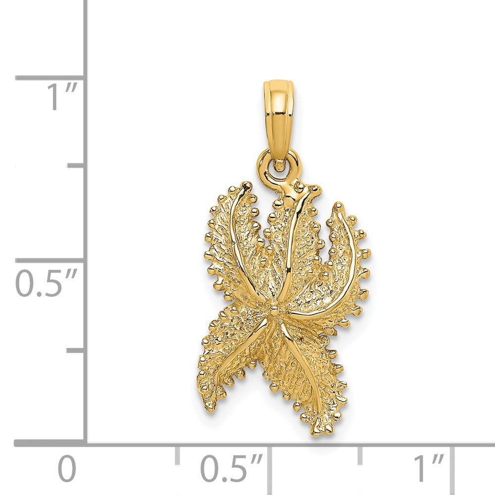 14K Gelbgold Seestern-Charm mit strukturierter Oberfläche