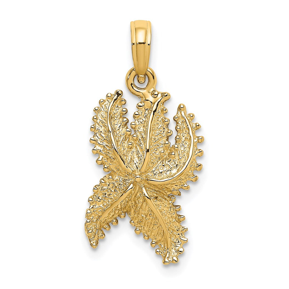 14K Gelbgold Seestern-Charm mit strukturierter Oberfläche