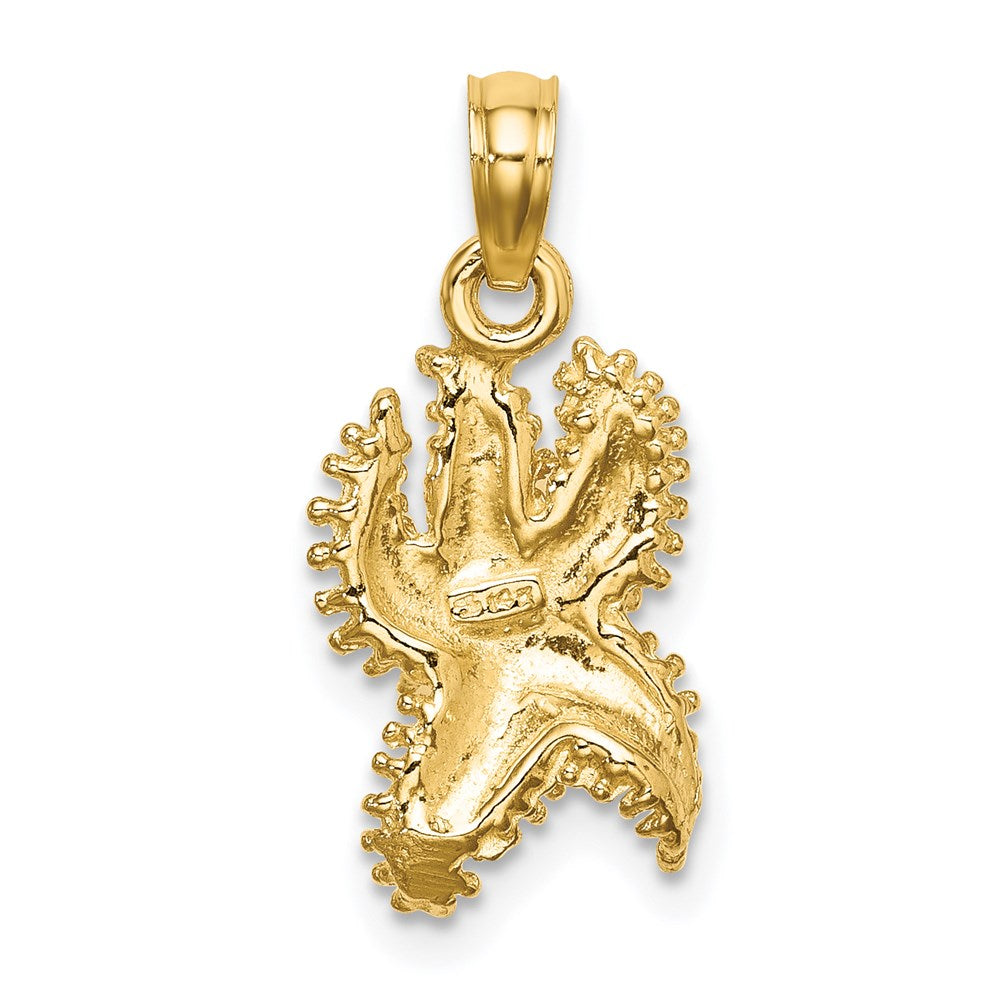 14K Gelbgold Strukturierter Seestern-Charm