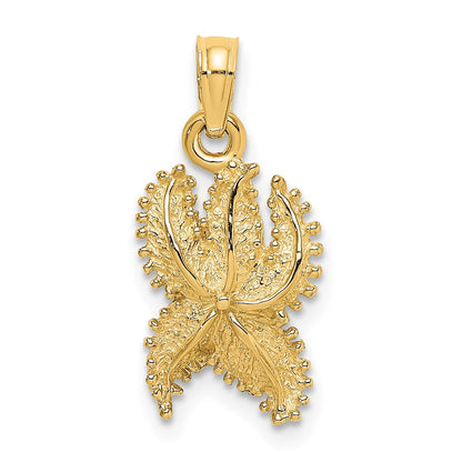14K Gelbgold Strukturierter Seestern-Charm