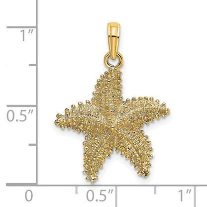 14K Gelbgold Seestern-Charm mit Perlrand und strukturierter Oberfläche