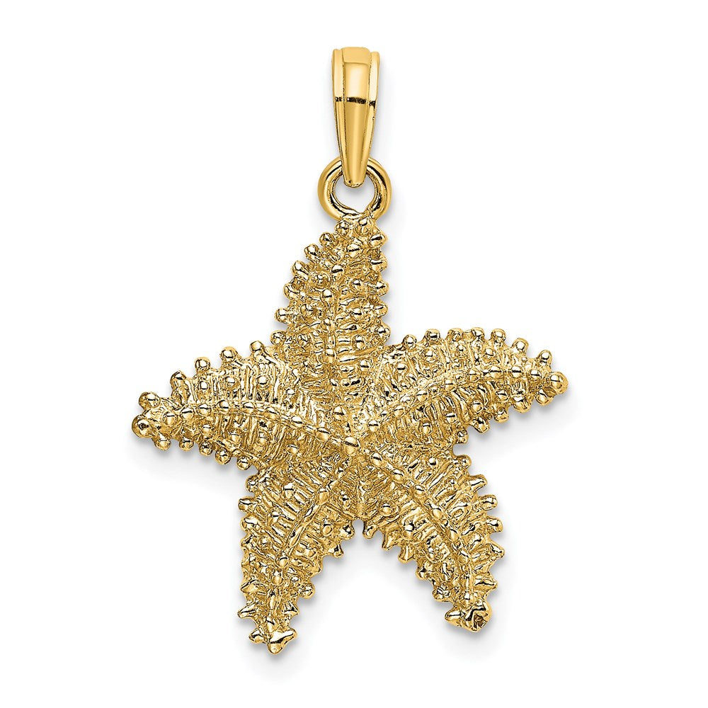 14K Gelbgold Seestern-Charm mit Perlrand und strukturierter Oberfläche