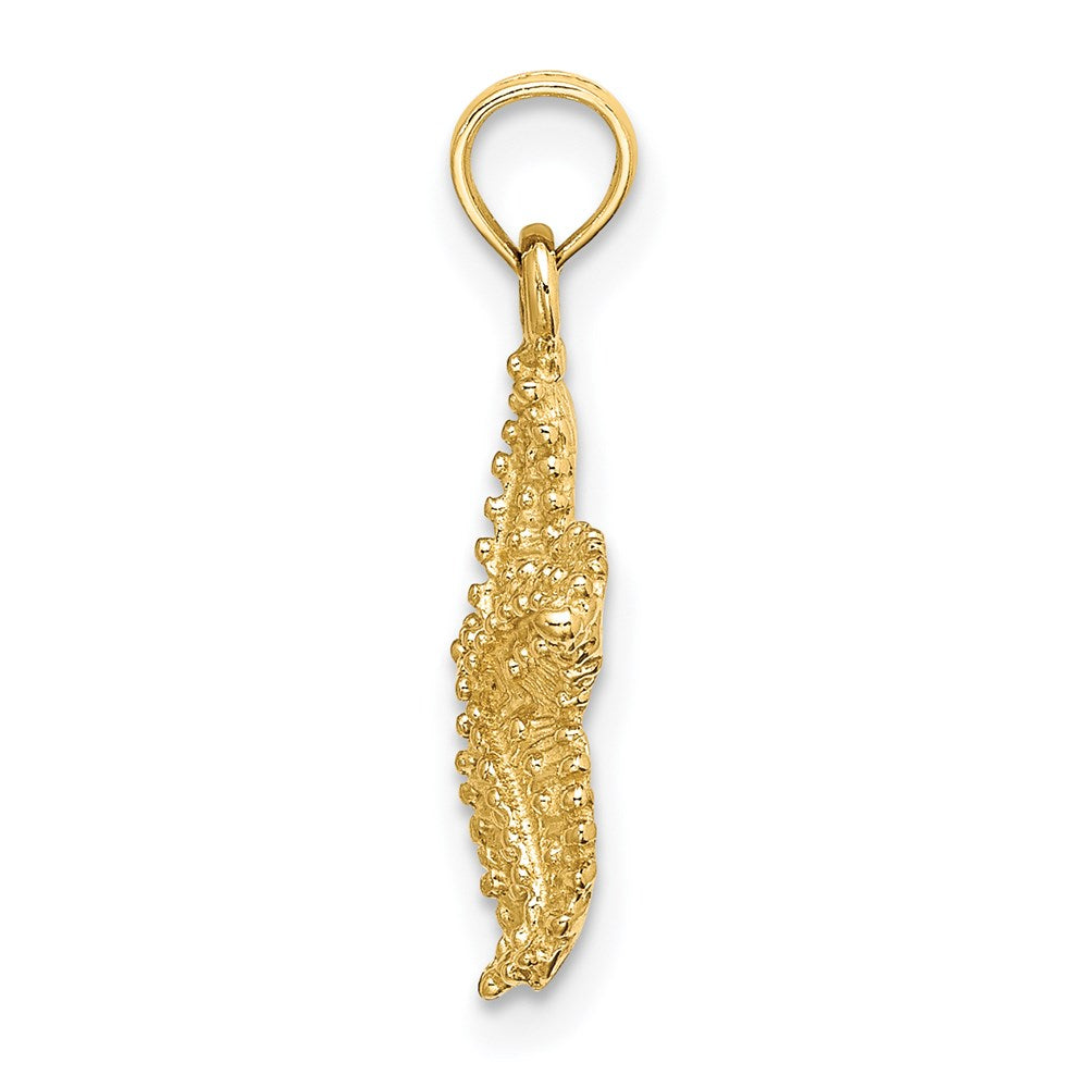 14 Karat Gelbgold Seestern-Charm mit Perlrand und strukturierter Oberfläche