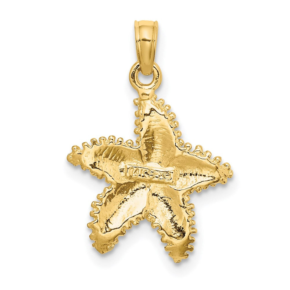 14 Karat Gelbgold Seestern-Charm mit Perlrand und strukturierter Oberfläche
