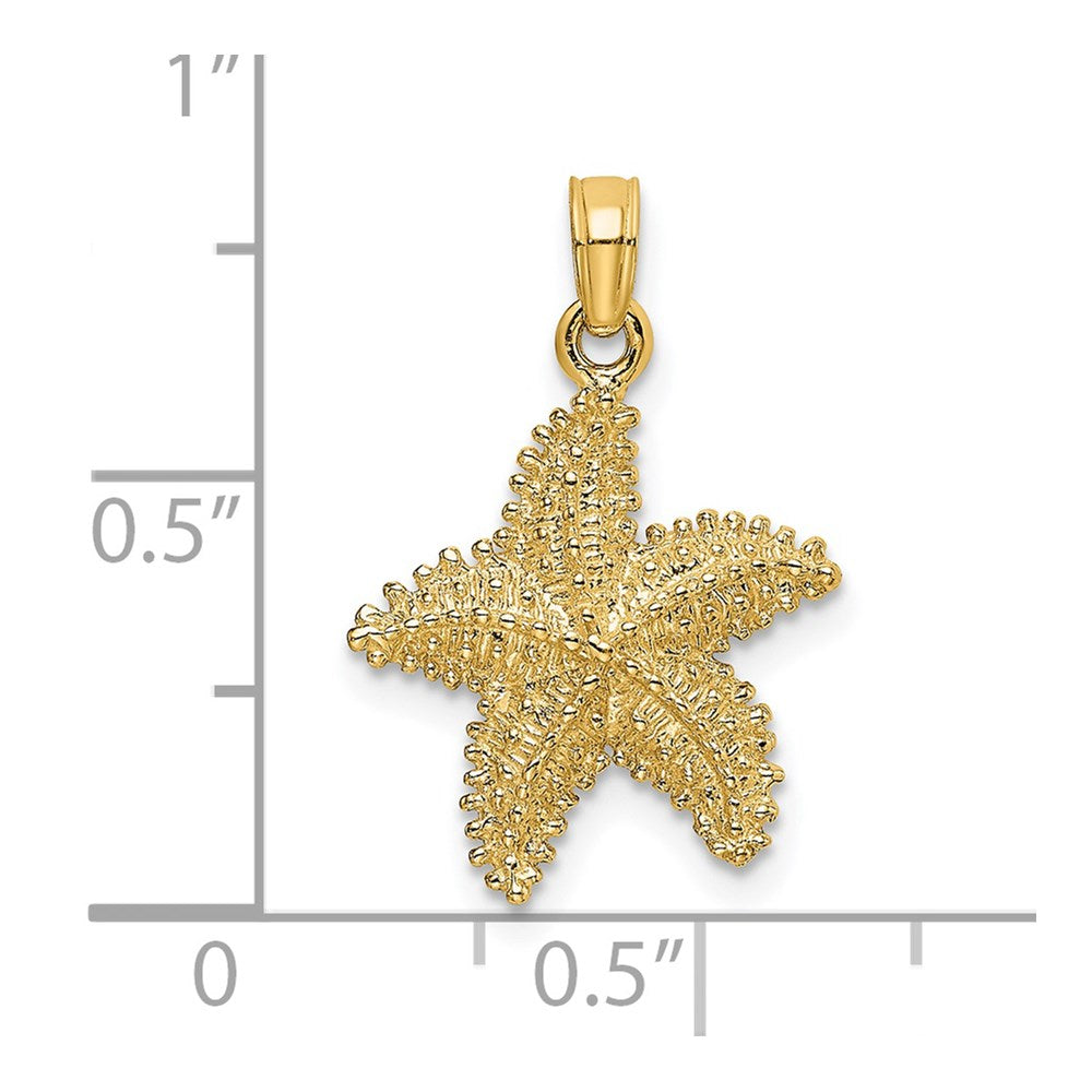 14 Karat Gelbgold Seestern-Charm mit Perlrand und strukturierter Oberfläche