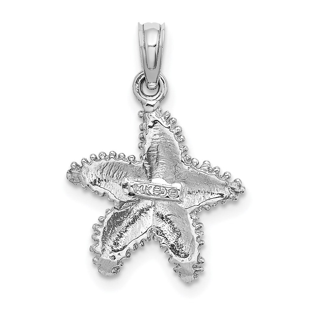 14K Weißgold Seestern-Charm mit Perlrand und Struktur
