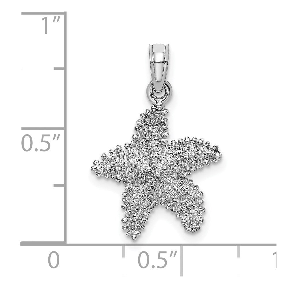 14K Weißgold Seestern-Charm mit Perlrand und Struktur