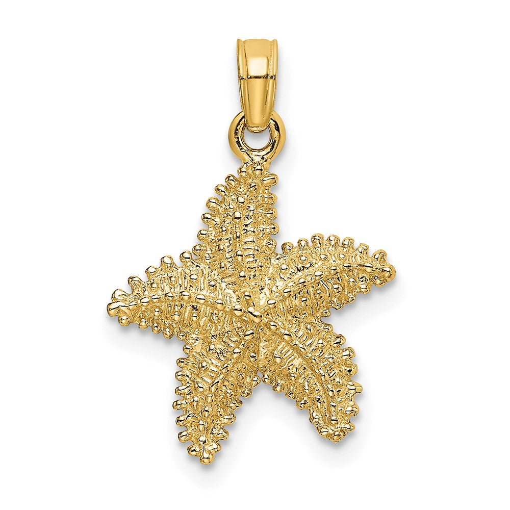 14 Karat Gelbgold Seestern-Charm mit Perlrand und strukturierter Oberfläche