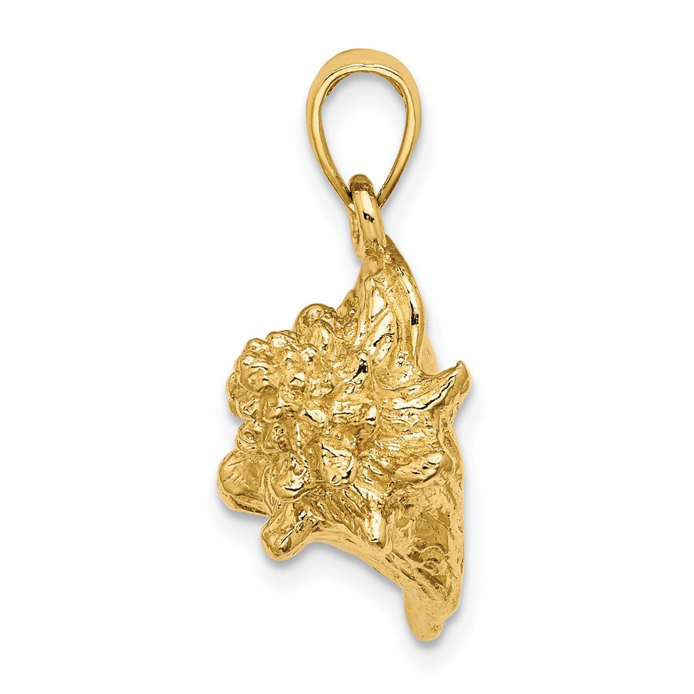 14K Gelbgold 3-D Muschel-Charm