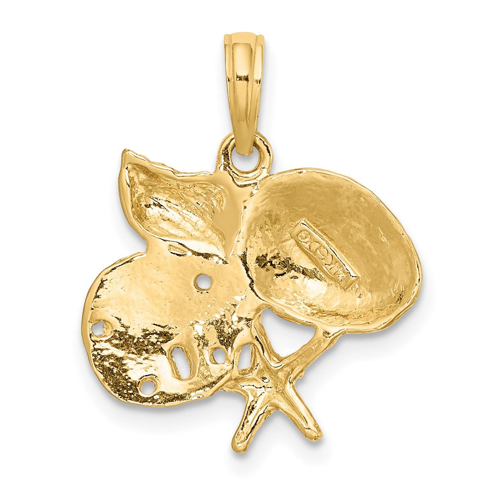 14 Karat Gelbgold Polierter Cluster-Charm mit Muschel, Seestern und Sanddollar