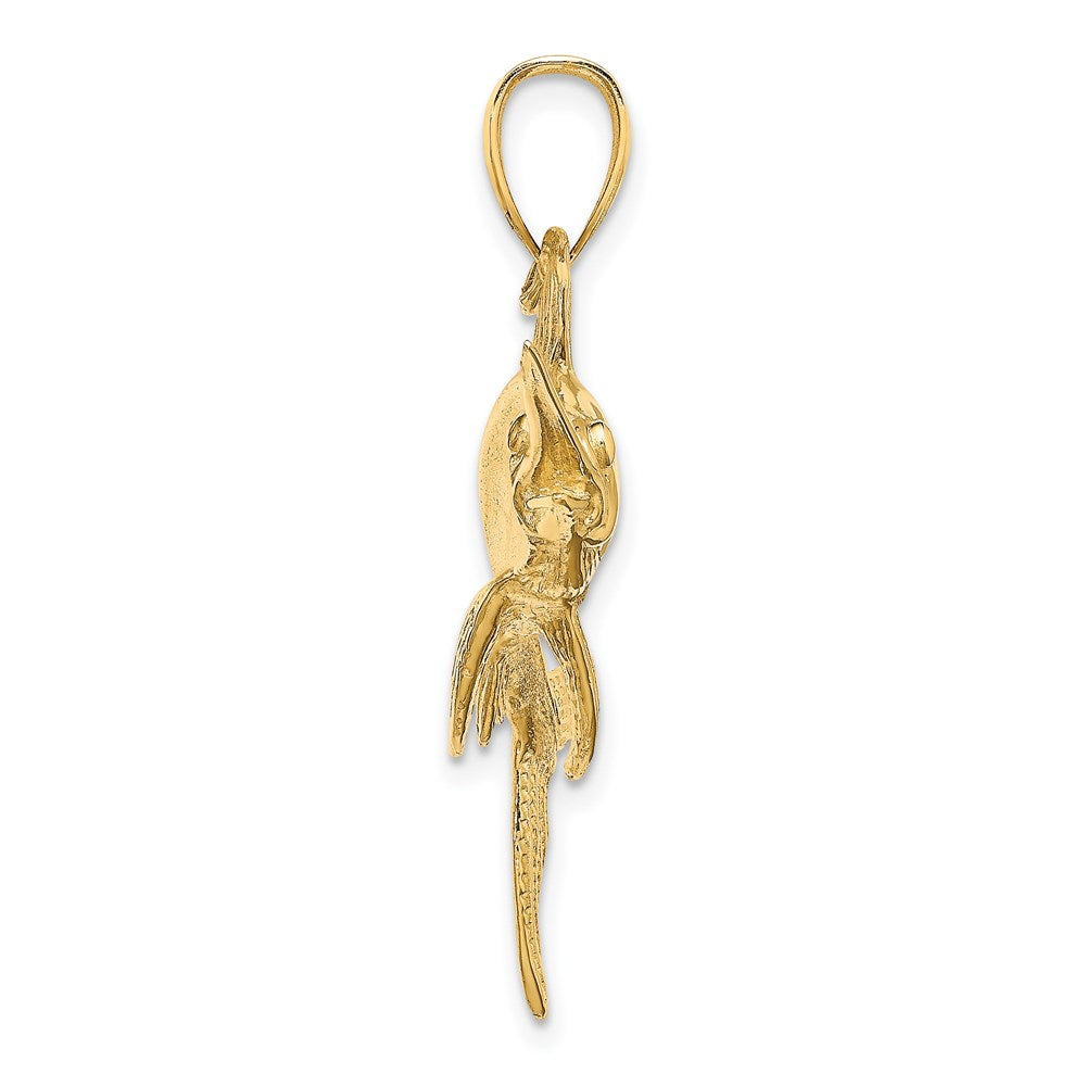 14K Gelbgold Schwertfisch-Charm, 2D, poliert/satiniert