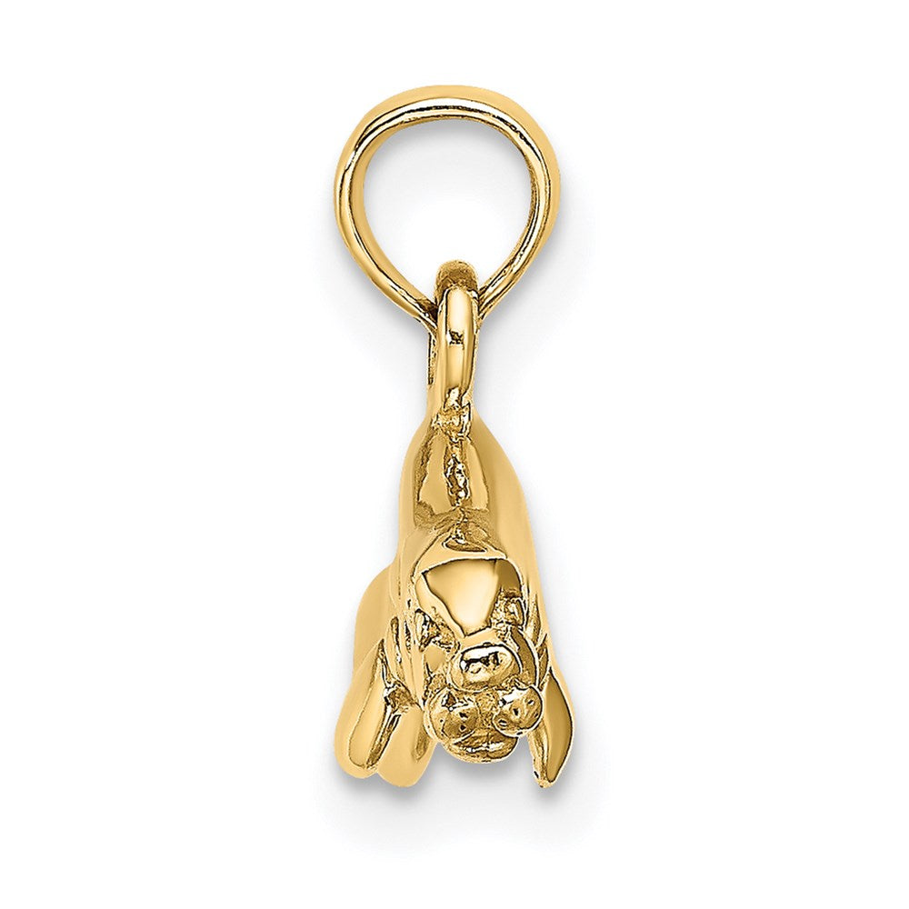 14K Gelbgold 3-D polierter Manati-Charm (schwimmend)