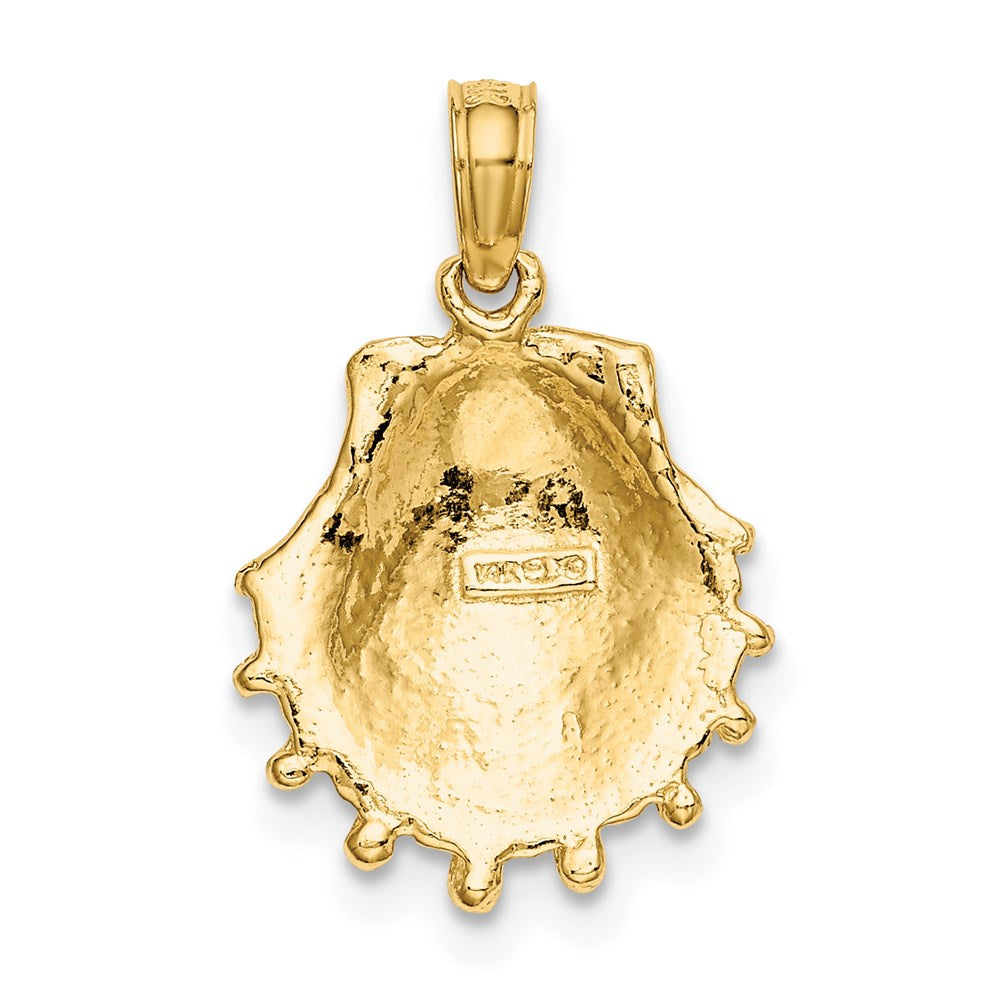 14K Gelbgold Löwe Paw Muschel Charm