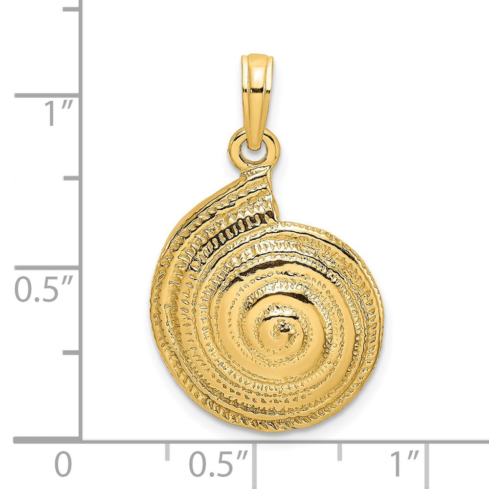 14K Gelbgold Charm mit strukturierter Troca-Muschel