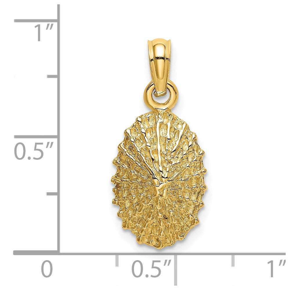 14K Gelbgold Charm strukturierte Napfschnecke
