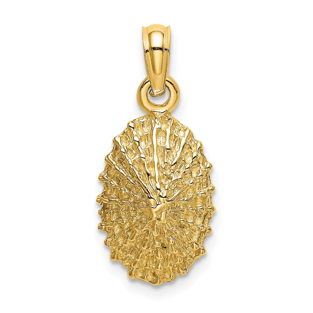 14K Gelbgold Charm strukturierte Napfschnecke