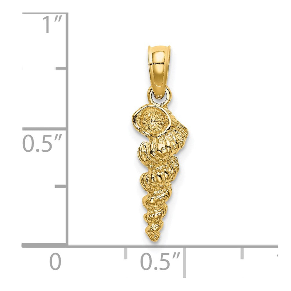 14K Gelbgold 3-d Mini Common Wentletrap Muschel Charm