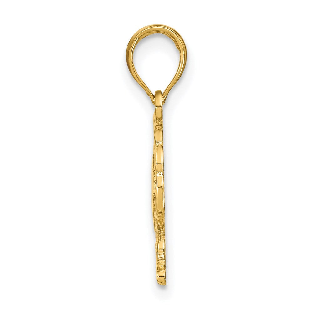 14K Gelbgold Poliert NAGS HEAD Unter Krabbe Charm