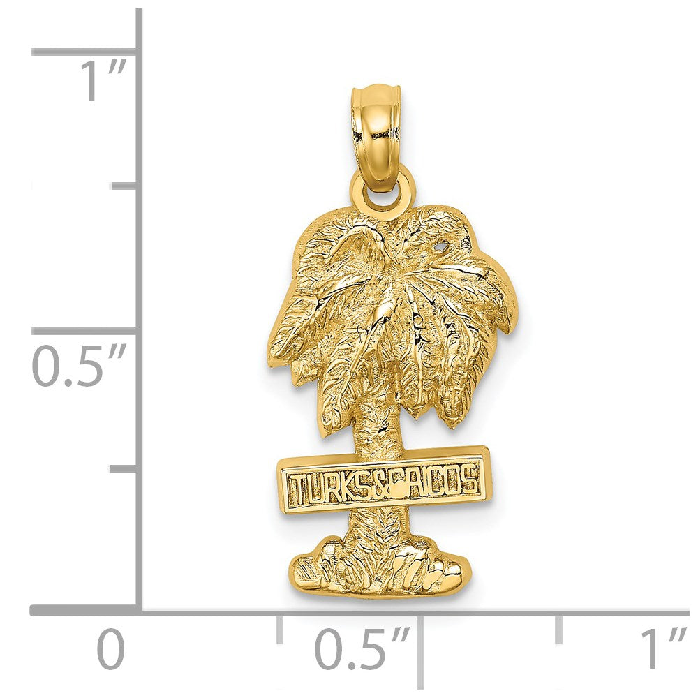14K Gelbgold Charm "Turks- und Caicosinseln auf Palme