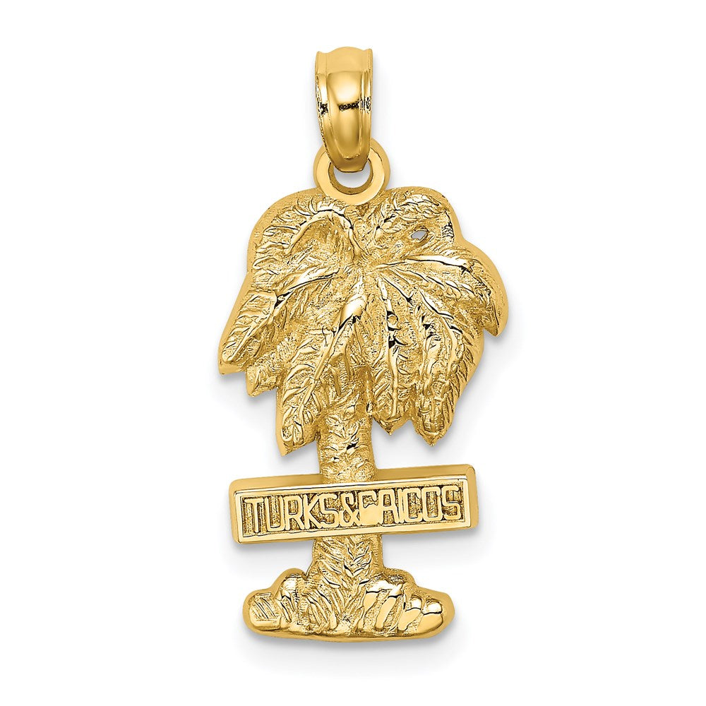 14K Gelbgold Charm "Turks- und Caicosinseln auf Palme