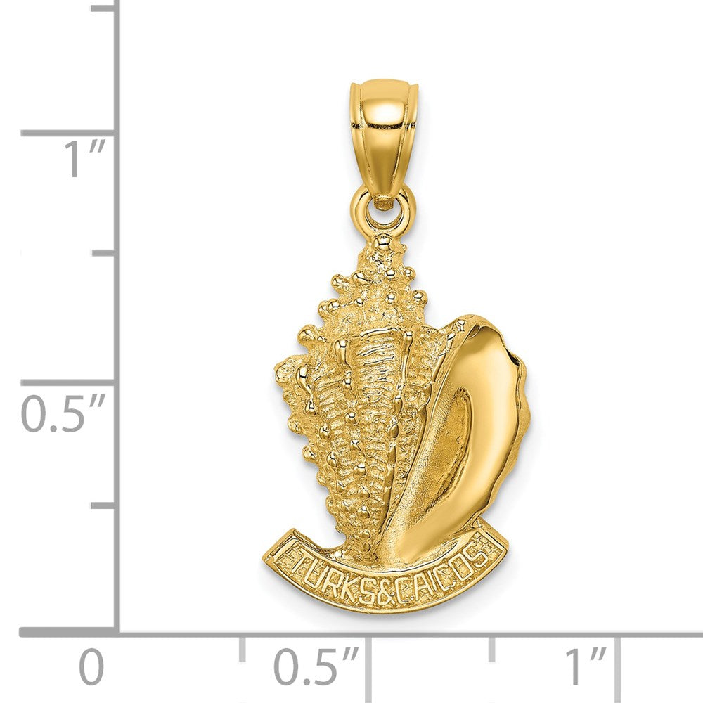 14K Gelbgold 2-D Muschel-Charm „Turks and Caicos“