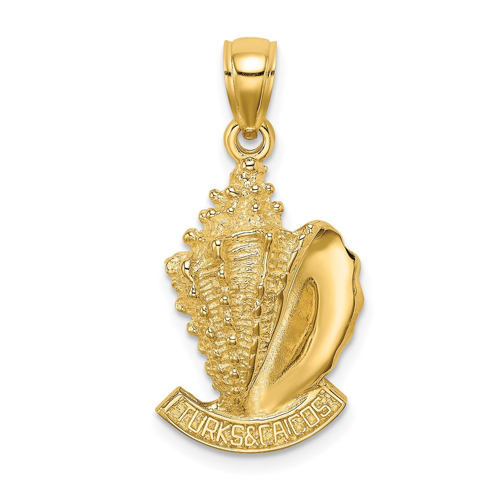 14K Gelbgold 2-D Muschel-Charm „Turks and Caicos“