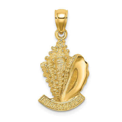 14K Gelbgold 2-D Muschel-Charm „Turks and Caicos“