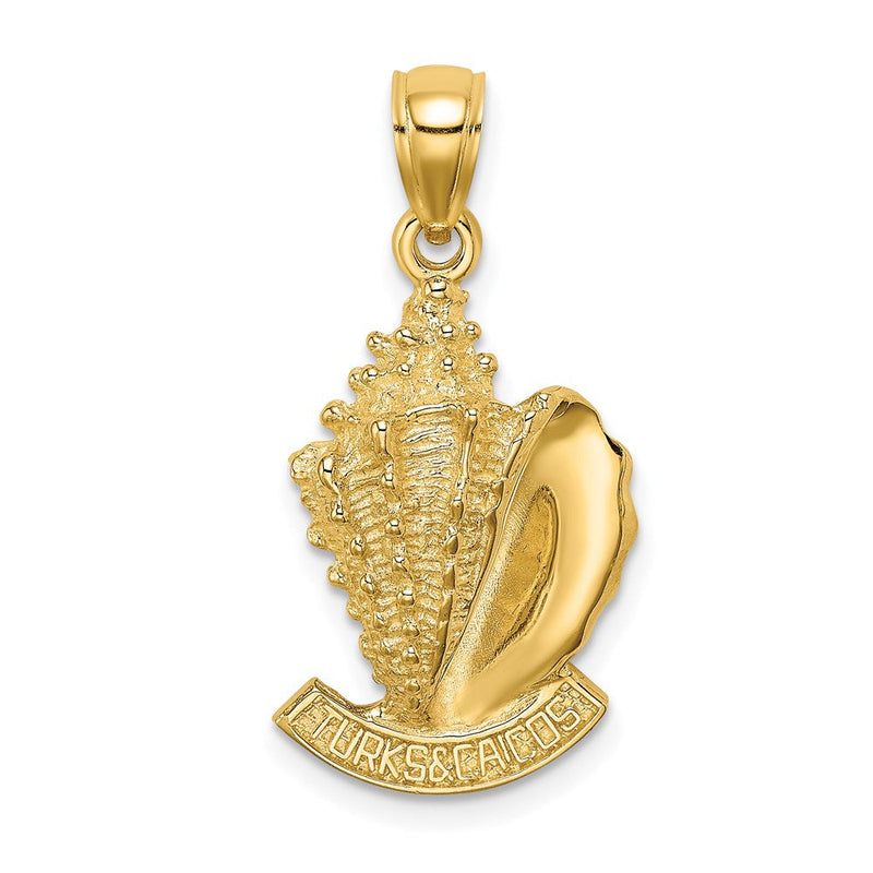 14K Gelbgold 2-D Muschel-Charm „Turks and Caicos“