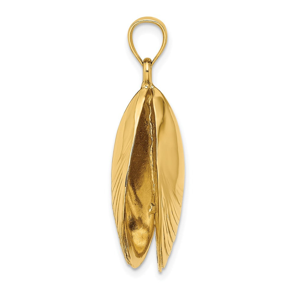 14 Karat Gelbgold 3-D-polierter Muschelschale-Charm
